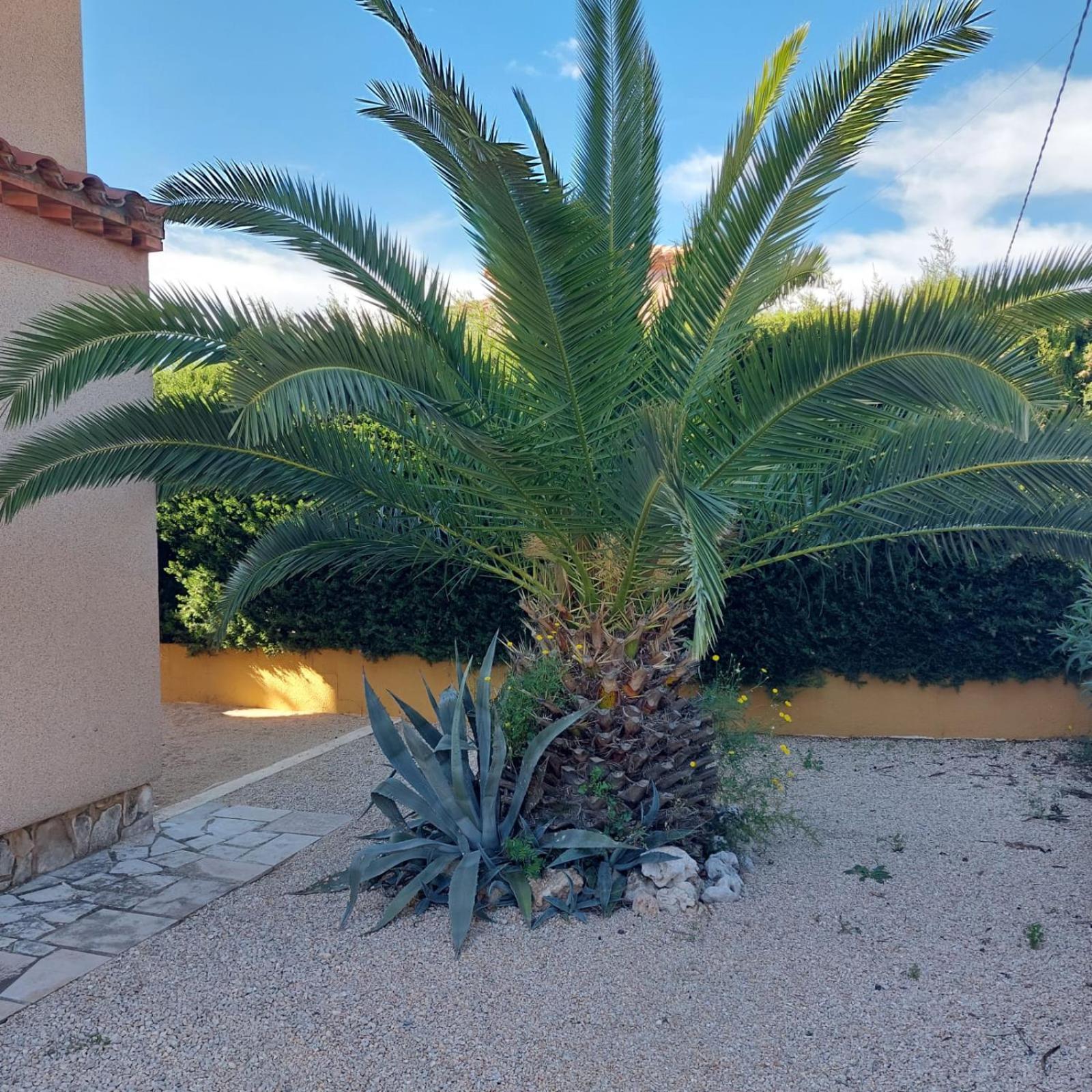 Buena Vista Villa L'Ametlla de Mar Buitenkant foto